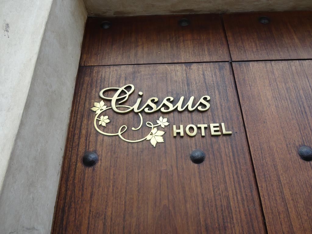 أنتيغوا غواتيمالا Cissus Hotel Boutique (Adults Only) الغرفة الصورة