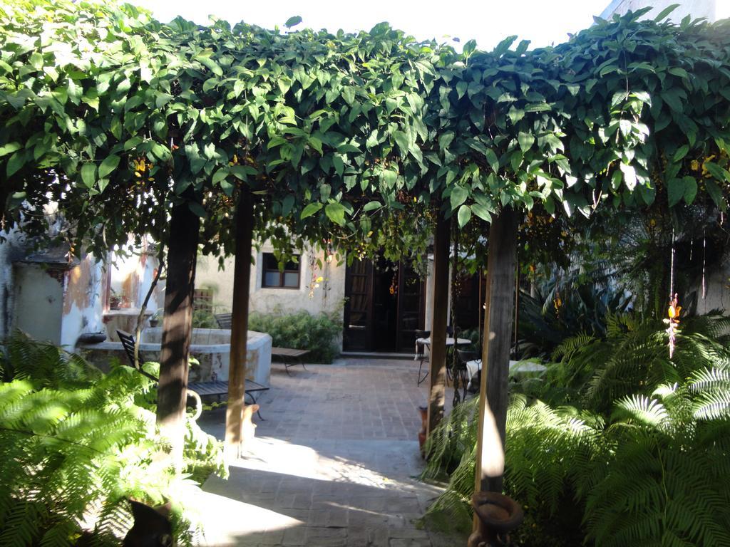 أنتيغوا غواتيمالا Cissus Hotel Boutique (Adults Only) المظهر الخارجي الصورة