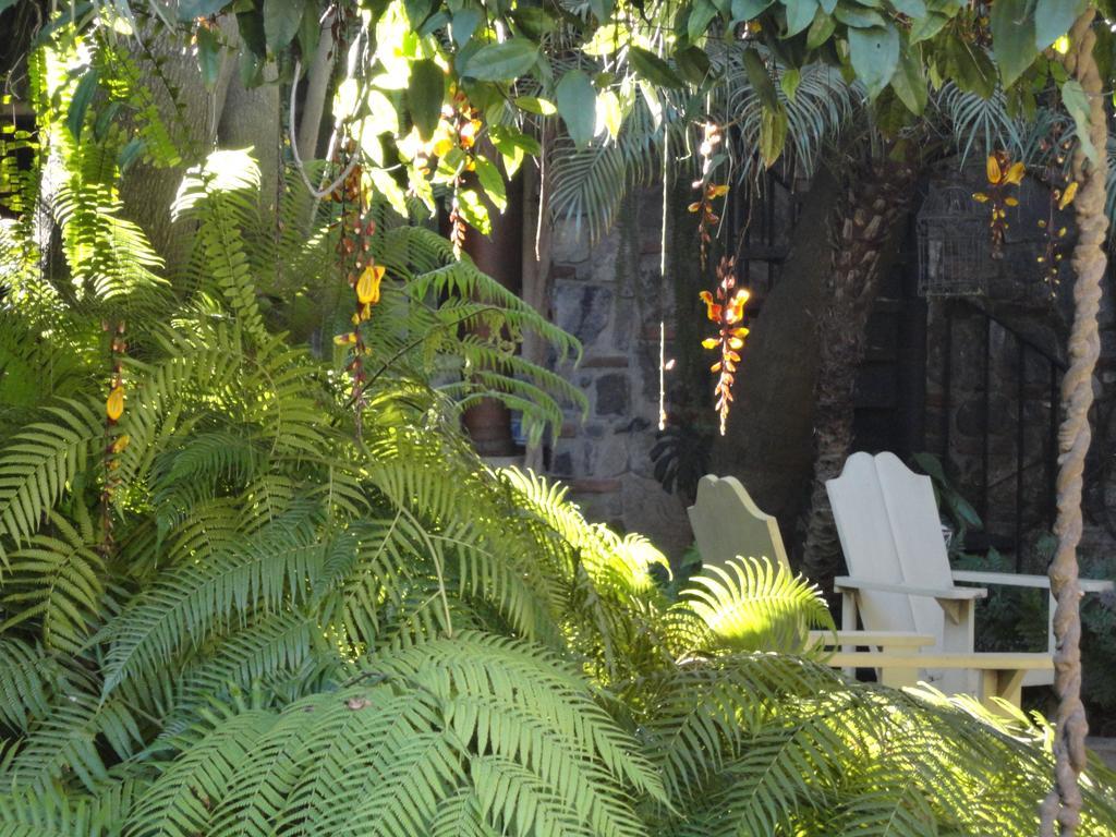 أنتيغوا غواتيمالا Cissus Hotel Boutique (Adults Only) المظهر الخارجي الصورة