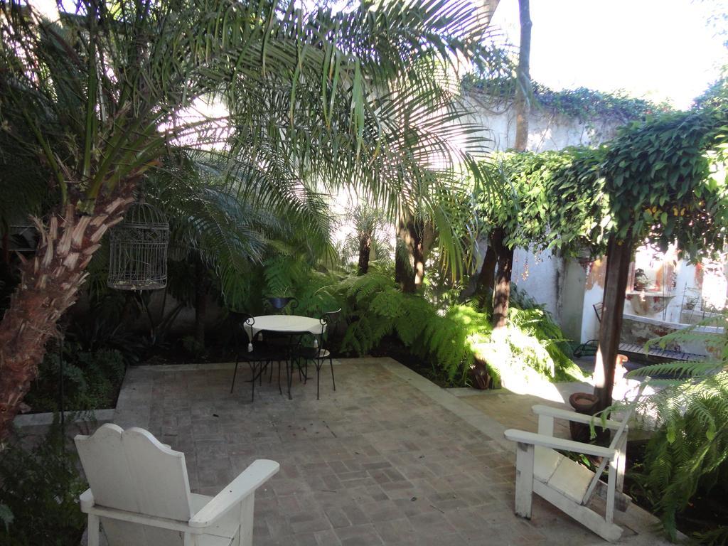 أنتيغوا غواتيمالا Cissus Hotel Boutique (Adults Only) المظهر الخارجي الصورة
