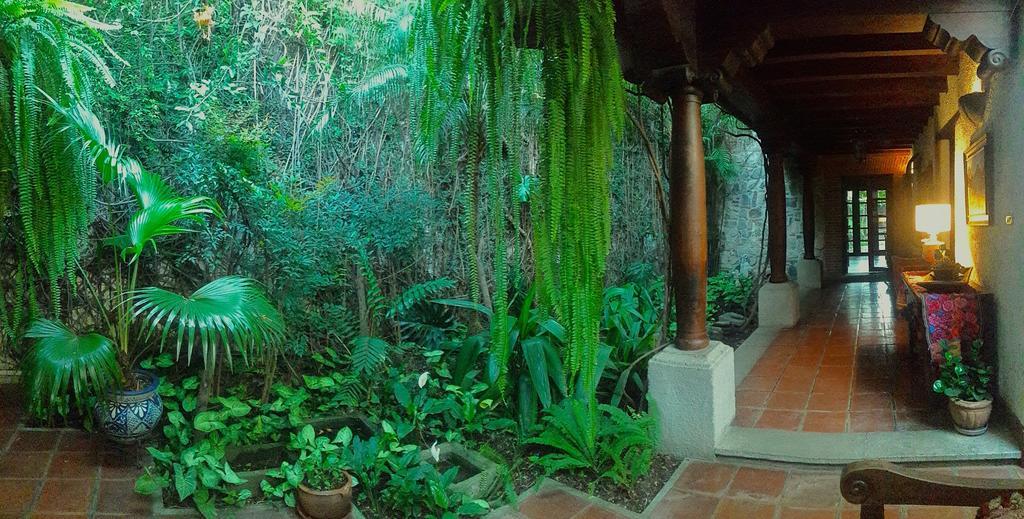 أنتيغوا غواتيمالا Cissus Hotel Boutique (Adults Only) المظهر الخارجي الصورة